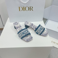 Christian Dior Slippers